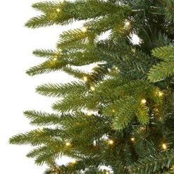 9ft. Pre-Light Belgium Fir Artificial Christmas Tree, Clear LED Lights -Northlight Shop D255969S 3