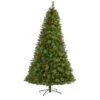 8ft. Pre-Lit Aberdeen Spruce Artificial Christmas Tree, Clear LED Lights 2 8ft. Pre-Lit Aberdeen Spruce Artificial Christmas Tree, Clear LED Lights -Northlight Shop D255996S 1