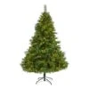 6ft. Pre-Lit West Virginia Mixed Pine Artificial Christmas Tree, Clear LED Lights -Northlight Shop D255997S 1