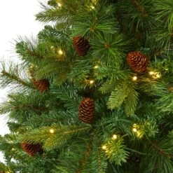 6ft. Pre-Lit West Virginia Mixed Pine Artificial Christmas Tree, Clear LED Lights -Northlight Shop D255997S 3