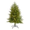 4ft. Pre-Lit Colorado Mountain Fir Artificial Christmas Tree, Clear LED Lights 2 4ft. Pre-Lit Colorado Mountain Fir Artificial Christmas Tree, Clear LED Lights -Northlight Shop D255998S 1