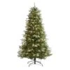 7ft. Pre-Lit Snowed Grand Teton Artificial Christmas Tree With Clear LED Lights 2 7ft. Pre-Lit Snowed Grand Teton Artificial Christmas Tree With Clear LED Lights -Northlight Shop D256093S 1