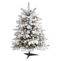3ft. Pre-Lit Flocked North Carolina Fir Artificial Christmas Tree With Warm White Lights 11 3ft. Pre-Lit Flocked North Carolina Fir Artificial Christmas Tree With Warm White Lights -Northlight Shop D256100S 1 1