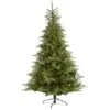 8ft. Pre-Lit North Carolina Spruce Artificial Christmas Tree, Clear LED Lights 2 8ft. Pre-Lit North Carolina Spruce Artificial Christmas Tree, Clear LED Lights -Northlight Shop D256109S 1
