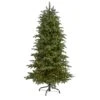 6ft. Pre-Lit South Carolina Fir Artificial Christmas Tree, Clear LED Lights -Northlight Shop D256112S 1