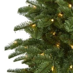 6ft. Pre-Lit South Carolina Fir Artificial Christmas Tree, Clear LED Lights 13 6ft. Pre-Lit South Carolina Fir Artificial Christmas Tree, Clear LED Lights -Northlight Shop D256112S 3