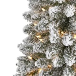 6ft. Pre-Lit Artificial Christmas Tree, Clear Lights 13 6ft. Pre-Lit Artificial Christmas Tree, Clear Lights -Northlight Shop D256121S 3