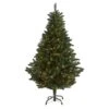 6ft. Pre-Lit Northern Rocky Spruce Artificial Christmas Tree, Clear Lights 2 6ft. Pre-Lit Northern Rocky Spruce Artificial Christmas Tree, Clear Lights -Northlight Shop D256124S 1