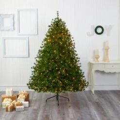 7ft. Pre-Lit Colorado Mountain Pine Artificial Christmas Tree, Clear LED Lights -Northlight Shop D256126S 5