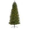 7.5ft. Pre-Lit West Virginia Mountain Pine Artificial Christmas Tree, Clear LED Lights 2 7.5ft. Pre-Lit West Virginia Mountain Pine Artificial Christmas Tree, Clear LED Lights -Northlight Shop D256131S 1