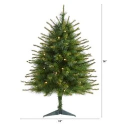 3ft. Pre-Lit New England Pine Artificial Christmas Tree, Clear LED Lights 12 3ft. Pre-Lit New England Pine Artificial Christmas Tree, Clear LED Lights -Northlight Shop D256142S 2
