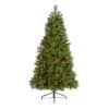 6ft. Pre-Lit Golden Tip Washington Pine Artificial Christmas Tree, Clear LED Lights 1 6ft. Pre-Lit Golden Tip Washington Pine Artificial Christmas Tree, Clear LED Lights -Northlight Shop D256155S 1