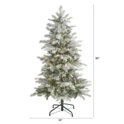 5ft. Pre-Lit Nova Scotia Spruce Artificial Christmas Tree, Warm White LED Lights -Northlight Shop D256162S 2