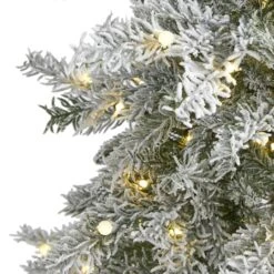 5ft. Pre-Lit Nova Scotia Spruce Artificial Christmas Tree, Warm White LED Lights -Northlight Shop D256162S 3