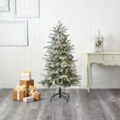 5ft. Pre-Lit Nova Scotia Spruce Artificial Christmas Tree, Warm White LED Lights -Northlight Shop D256162S 5