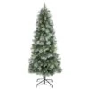 6ft. Pre-Lit British Columbia Mountain Pine Artificial Christmas Tree, Clear LED Lights -Northlight Shop D256172S 1