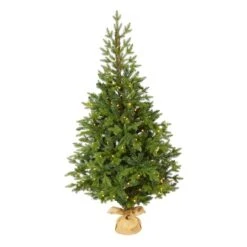 5ft. Pre-Lit Fraser Fir Artificial Christmas Tree, Clear LED Lights 9 5ft. Pre-Lit Fraser Fir Artificial Christmas Tree, Clear LED Lights -Northlight Shop D256174S 1 1