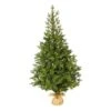 5ft. Pre-Lit Fraser Fir Artificial Christmas Tree, Clear LED Lights 2 5ft. Pre-Lit Fraser Fir Artificial Christmas Tree, Clear LED Lights -Northlight Shop D256174S 1