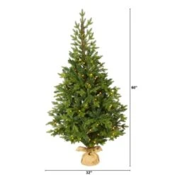 5ft. Pre-Lit Fraser Fir Artificial Christmas Tree, Clear LED Lights 13 5ft. Pre-Lit Fraser Fir Artificial Christmas Tree, Clear LED Lights -Northlight Shop D256174S 2