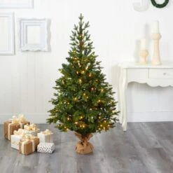 5ft. Pre-Lit Fraser Fir Artificial Christmas Tree, Clear LED Lights 10 5ft. Pre-Lit Fraser Fir Artificial Christmas Tree, Clear LED Lights -Northlight Shop D256174S 5