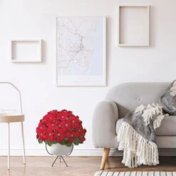 3ft. Red Grand Poinsettia Arrangement In White Vase With Metal Stand 11 3ft. Red Grand Poinsettia Arrangement In White Vase With Metal Stand -Northlight Shop D292863S 13