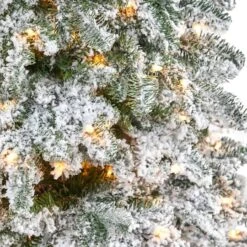 6ft. Pre-Lit North Carolina Fir Artificial Christmas Tree, White Lights -Northlight Shop D292914S 3