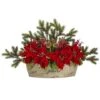18'' Poinsettia, Succulent & Pine Plant In Decorative Vase -Northlight Shop D322373S 1