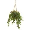 3ft. Variegated Holly With Berries Plant In Hanging Basket -Northlight Shop D322442S 1
