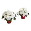 12" Potted White Poinsettia Set 2 12" Potted White Poinsettia Set -Northlight Shop D322502S 11