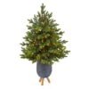 3.5ft. Pre-Lit North Carolina Fir Artificial Christmas Tree In Gray Planter With Stand, Clear Lights 1 3.5ft. Pre-Lit North Carolina Fir Artificial Christmas Tree In Gray Planter With Stand, Clear Lights -Northlight Shop D322712S 1