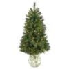 4.5ft. Pre-Lit West Virginia Mountain Pine Artificial Christmas Tree In Floral Planter, Clear Lights 2 4.5ft. Pre-Lit West Virginia Mountain Pine Artificial Christmas Tree In Floral Planter, Clear Lights -Northlight Shop D322751S 1