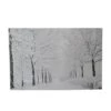 Northlight Fiber Optic Lighted Snowfall Winter Lane Christmas Canvas Wall Art -Northlight Shop D361833S 1