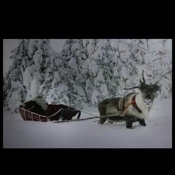 Northlight Fiber Optic Lighted Santa In His Sleigh Canvas Wall Art -Northlight Shop D361840S 2