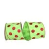 JAM Paper 4" X 10yd. Dupioni Glitter Dots Wired Ribbon Lime/Red 1 JAM Paper 4" X 10yd. Dupioni Glitter Dots Wired Ribbon Lime/Red -Northlight Shop D376927S 1
