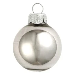 Whitehurst 28ct. 2" Shiny Glass Ball Ornaments Silver