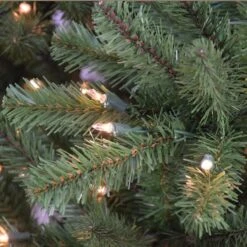 12ft. Pre-Lit Berkshire Fir Artificial Christmas Tree, Clear Lights -Northlight Shop D393424S 2