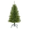 4ft. Unlit Pencil Fraser Fir Artificial Christmas Tree 2 4ft. Unlit Pencil Fraser Fir Artificial Christmas Tree -Northlight Shop D393443S 1