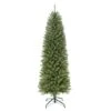 6.5ft. Unlit Pencil Fraser Fir Artificial Christmas Tree 1 6.5ft. Unlit Pencil Fraser Fir Artificial Christmas Tree -Northlight Shop D393446S 1