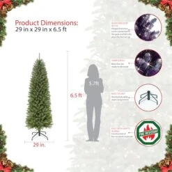 6.5ft. Unlit Pencil Fraser Fir Artificial Christmas Tree 13 6.5ft. Unlit Pencil Fraser Fir Artificial Christmas Tree -Northlight Shop D393446S 5