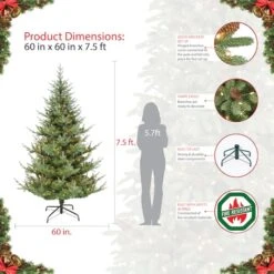 7.5ft. Pre-Lit Hillside Spruce Artificial Christmas Tree, Clear Lights 13 7.5ft. Pre-Lit Hillside Spruce Artificial Christmas Tree, Clear Lights -Northlight Shop D393458S 5