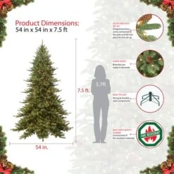 7.5ft. Pre-Lit Royal Majestic Fraser Fir Artificial Christmas Tree, Clear Lights -Northlight Shop D393504S 6
