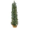3ft. Pre-Lit Green Pine Artificial Christmas Tree With Burlap Base, Warm White Lights -Northlight Shop D478806S 1