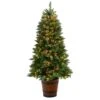 5ft. Pre-Lit Frosted Colorado Aspen Artificial Christmas Tree In Decorative Planter, White LED Lights 1 5ft. Pre-Lit Frosted Colorado Aspen Artificial Christmas Tree In Decorative Planter, White LED Lights -Northlight Shop D478830S 1