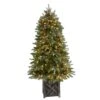5ft. Pre-Lit Colorado Fir Frosted Artificial Christmas Tree In Planter, White LED Lights -Northlight Shop D478833S 1