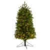 4ft. Pre-Lit Slim Colorado Mountain Spruce Artificial Christmas Tree, Warm White LED Lights 1 4ft. Pre-Lit Slim Colorado Mountain Spruce Artificial Christmas Tree, Warm White LED Lights -Northlight Shop D478835S 1