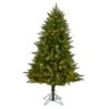 5ft. Pre-Lit Vermont Spruce Artificial Christmas Tree, Color Changing LED Lights -Northlight Shop D478841S 1