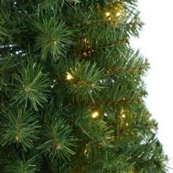 3ft. Pre-Lit Green Artificial Christmas Tree, Warm White LED Lights -Northlight Shop D478854S 4