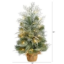 2ft. Pre-Lit Winter Frosted Artificial Christmas Tree In Burlap Base, Warm White LED Lights 14 2ft. Pre-Lit Winter Frosted Artificial Christmas Tree In Burlap Base, Warm White LED Lights -Northlight Shop D478876S 2