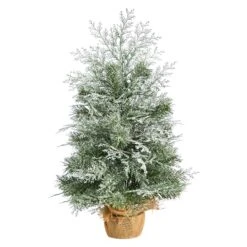 2ft. Pre-Lit Winter Frosted Artificial Christmas Tree In Burlap Base, Warm White LED Lights 13 2ft. Pre-Lit Winter Frosted Artificial Christmas Tree In Burlap Base, Warm White LED Lights -Northlight Shop D478876S 3