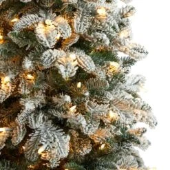 5ft. Pre-Lit Flocked North Carolina Fir Artificial Christmas Tree, Clear Lights 12 5ft. Pre-Lit Flocked North Carolina Fir Artificial Christmas Tree, Clear Lights -Northlight Shop D478884S 4
